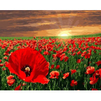 BK-GX5755 Малювання на полотні Макове поле