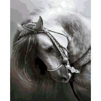 AS0175 Картина розмальовка Грація ArtStory AS0175 Картина розмальовка Грація ArtStory