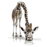 AS0221 Картина розмальовка Задумливий жираф (Без коробки) ArtStory AS0221 Картина розмальовка Задумливий жираф (Без коробки) ArtStory