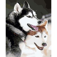 AS0422 Забарвлення за цифрами Хаскі ArtStory AS0422 Забарвлення за цифрами Хаскі ArtStory