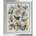 Алмазна вишивкаDream Art Дерево птахів (DA-31274, Без підрамника)