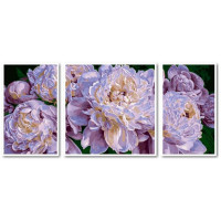 VPT055 Картина за номерами Пишність та ніжністьBabylon VPT055 Картина за номерами Пишність та ніжністьBabylon