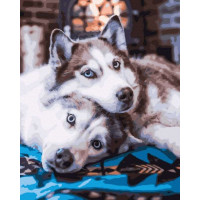 BK-GX44317 Розмальовки за номерами ХаскіRainbow Art