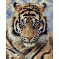 SR-B-VA-3431 Розмальовка по цифрам Погляд хижакаStrateg SR-B-VA-3431 Розмальовка по цифрам Погляд хижакаStrateg