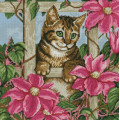 Картина зі страз Dream Art Цікавість кошеня (40 х 40 см) (DA-31555, Без підрамника)