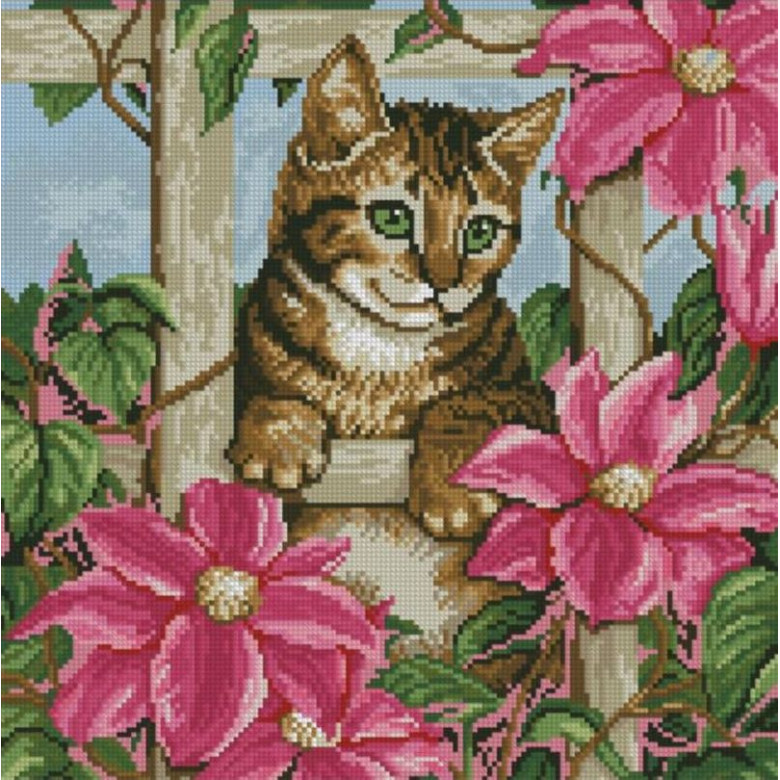 Картина зі страз Dream Art Цікавість кошеня (40 х 40 см) (DA-31555, Без підрамника)