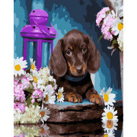 BK-GX45102 Малювання по номерам Такса з ромашкамиRainbow Art BK-GX45102 Малювання по номерам Такса з ромашкамиRainbow Art