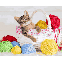 BK-GX45168 Картина за номерами Маленький бешкетникRainbow Art BK-GX45168 Картина за номерами Маленький бешкетникRainbow Art