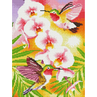 Мозаїка алмазна Rainbow Art Колібрі (EJ1408, На підрамнику) Мозаїка алмазна Rainbow Art Колібрі (EJ1408, На підрамнику)