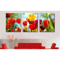 DZ093 Малювання номерів Триптих. Садові тюльпани Babylon DZ093 Малювання номерів Триптих. Садові тюльпани Babylon