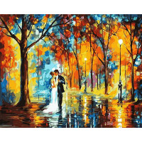 VP457 Розмальовка за номерами Дощове весілля Babylon