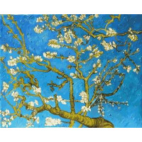 VP593 Розмальовка за номерами Квітучі гілки мигдалю Babylon VP593 Розмальовка за номерами Квітучі гілки мигдалю Babylon