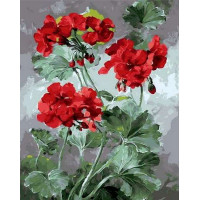 MR-Q1050 Картина розмальовка Розкішна герань MR-Q1050 Картина розмальовка Розкішна герань
