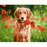 BK-GX21746 Картина за номерами Пес з букетом маків
