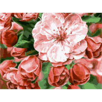 AS0239 Малюнок за цифрами Оксамитові квіти ArtStory AS0239 Малюнок за цифрами Оксамитові квіти ArtStory