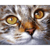 VP1022 Забарвлення за цифрами Котячий погляд Babylon
