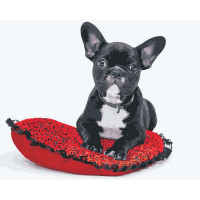 AS0419 Забарвлення за цифрами Французький бульдог ArtStory AS0419 Забарвлення за цифрами Французький бульдог ArtStory