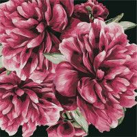 AS0503 Картина розмальовка Квіти для тебе (Без коробки) ArtStory