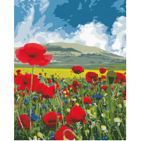 AS0667 Картина розмальовка Фарби природи ArtStory