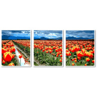 VPT042 Живопис за номерами Триптих Поле тюльпанів Babylon