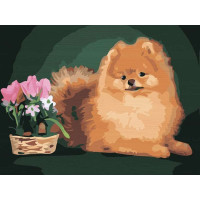 ASW144 Картина за номерами з дерева Пухнасте чудо ArtStory