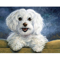 Картина алмазна вишивка ТМ Алмазна мозаїка Щасливчик (DMF-199, На підрамнику)