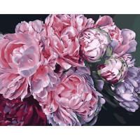 VP1432 Картина за номерами Грація півонійBabylon VP1432 Картина за номерами Грація півонійBabylon