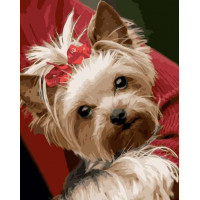 SR-VA-3429 Картина за номерами Песик з хвостикомStrateg SR-VA-3429 Картина за номерами Песик з хвостикомStrateg