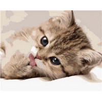 SR-B-VA-0522 Розмальовка за номерами Маленький котикStrateg