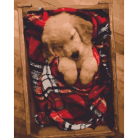 BK-GX45058 Картина за номерами ЦуценяRainbow Art BK-GX45058 Картина за номерами ЦуценяRainbow Art