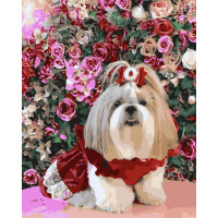 BK-GX45179 Картини за номерами Маленьке щастяRainbow Art BK-GX45179 Картини за номерами Маленьке щастяRainbow Art