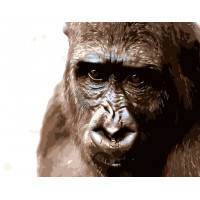 SR-B-DY085 Живопис по номерам Кінг-КонгStrateg SR-B-DY085 Живопис по номерам Кінг-КонгStrateg