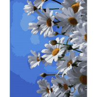 SR-B-GS1067 Розмальовка по номерах Ромашки та небоStrateg SR-B-GS1067 Розмальовка по номерах Ромашки та небоStrateg