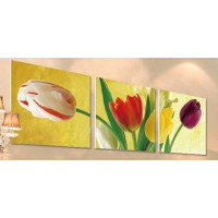 MT3075 Картина за номерами Триптих. Різнокольорові тюльпани Menglei