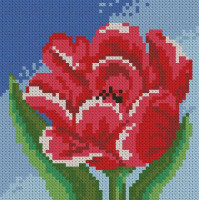 Алмазна мозаїка ТМ Алмазна мозаїка Маленький тюльпан (DM-019, Без підрамника)