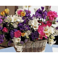 VP1038 Картина за номерами Кошик щастя Babylon VP1038 Картина за номерами Кошик щастя Babylon