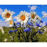 VP1256 Картина за номерами Ромашки та волошки Babylon VP1256 Картина за номерами Ромашки та волошки Babylon