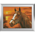Алмазна вишивкаDream Art На заході сонця (кінь) (DA-31289, Без підрамника)