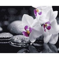 BK-GX21140 Картина за номерами Орхідея