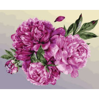 VP1406 Картина за номерами Півонія ніжність Babylon VP1406 Картина за номерами Півонія ніжність Babylon