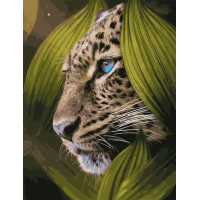 AS1103 Картина за номерами Погляд переможця ArtStory