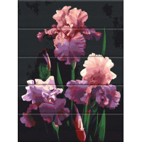 ASW201 Розмальовка за номерами на дереві Чарівні ірисиArtStory