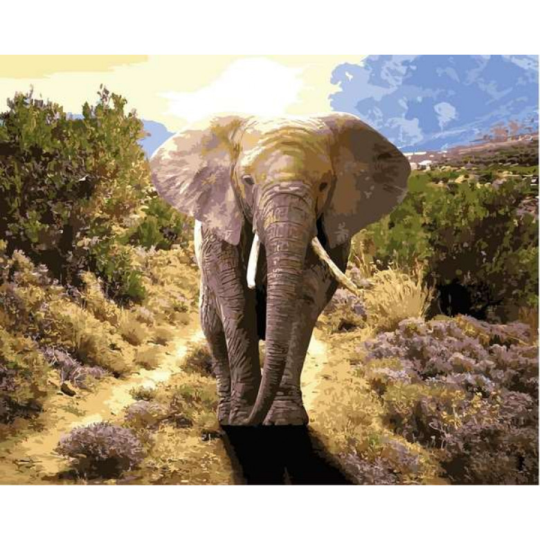 VP1440 Картина за номерами Великий слон Babylon