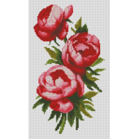 Алмазна картина Dream Art Яскраві півонії (22 х 37 см) (DA-31643, Без підрамника)