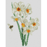 Набір алмазної мозаїки Dream Art Нарцис (22 х 29 см) (DA-31785, Без підрамника)