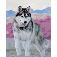 SR-SY6716 Розмальовка за номерами Красунчик хаскіStrateg SR-SY6716 Розмальовка за номерами Красунчик хаскіStrateg