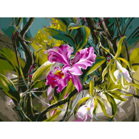 VP101 Картина за номерами Прекрасні орхідеї Babylon VP101 Картина за номерами Прекрасні орхідеї Babylon