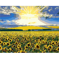W4319 Картина за номерами Море соняшників W4319 Картина за номерами Море соняшників