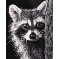 AS0068 Розмальовка за цифрами Єнот ArtStory AS0068 Розмальовка за цифрами Єнот ArtStory