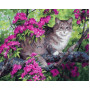 VP883 Картина за номерами Кіт та квітуче дерево Babylon